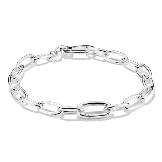 Charm Bracelet With Connect Link Silver