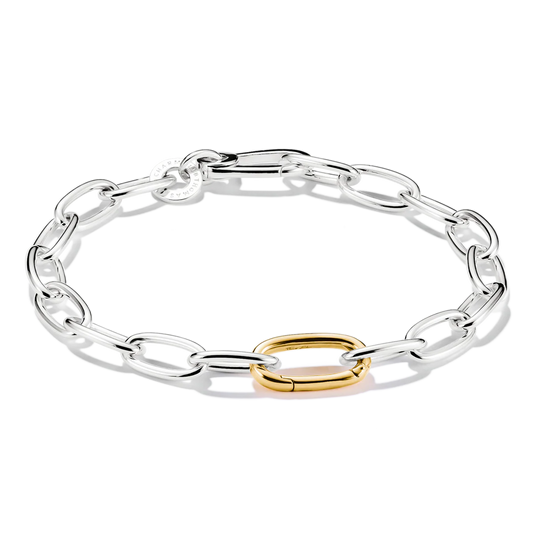 Charm Bracelet Bicolour With Connect Link