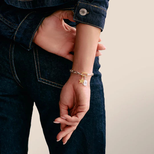 Charm Bracelet Bicolour With Connect Link