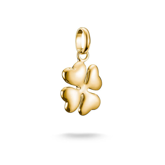 Connect Charm Lucky Clover In 3D