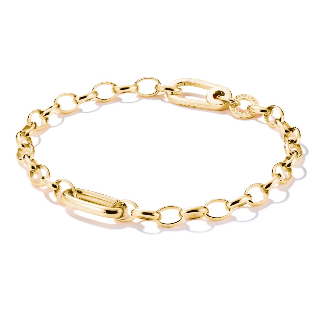 Charm Bracelet With Connect Link Gold
