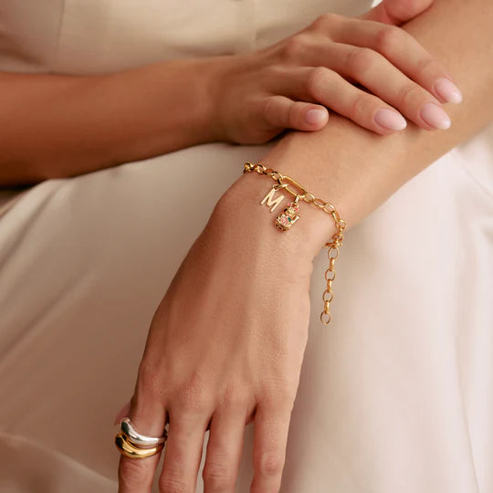 Charm Bracelet With Connect Link Gold