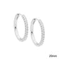 Ellani Hoop Earrings